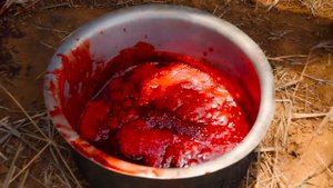 ШОКИРУЮЩАЯ_Племенная_Еда_в_Кении!!!_Редко_видимая_Еда_Масаи!(720p)