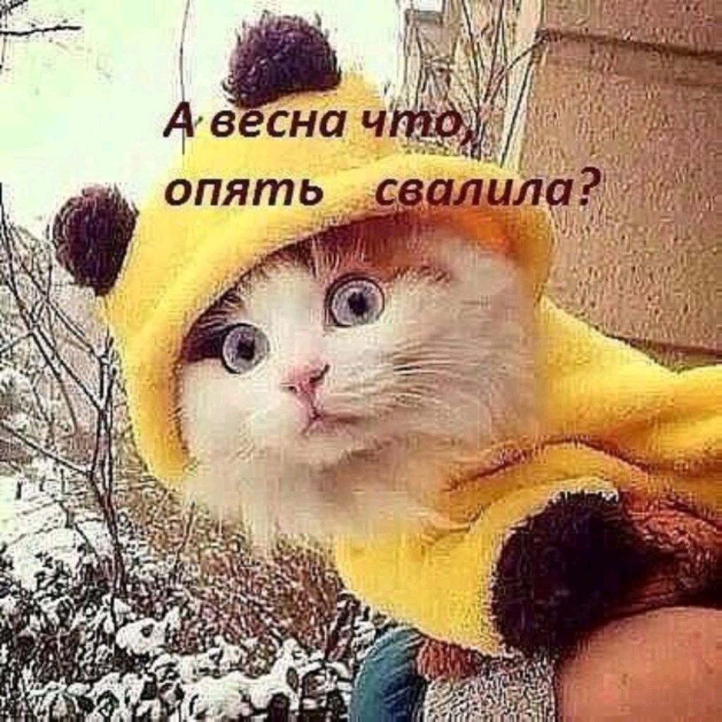 начинающий