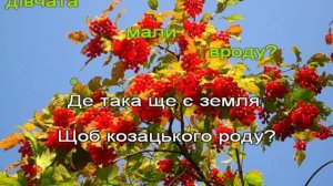 Ірина Федишин - Лише у нас на Україні - (караоке)