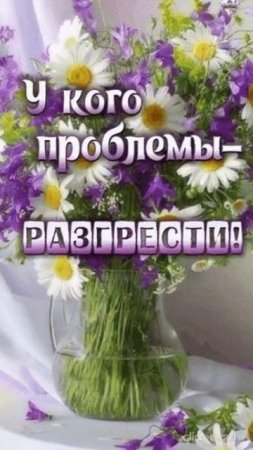 СЧАСТЬЯ И МИРА ВАМ. Shorts.