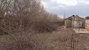 Расчистка сада, часть 1