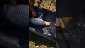 4 декабря 2023 г.