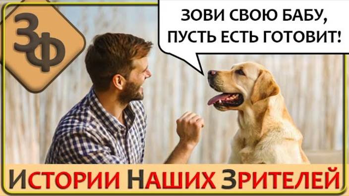 226 Занимательные Истории Наших Зрителей, Иногда и Смешные и Печальные