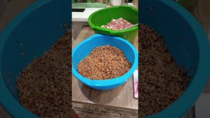 Видео за несколько дней. Ремонт бани, прогулка в лесу и тушёнка).