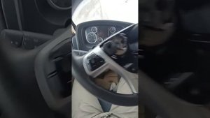 Наконец найдено быстрое решение проблемы - криво стоит руль на Синотрак Ситрак, Хово.