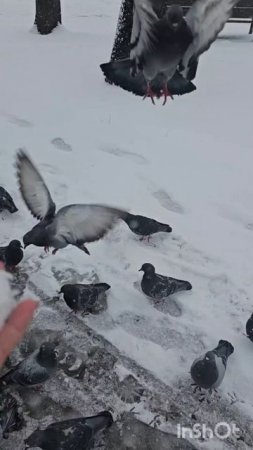 снег в апреле 😊😊😊😊