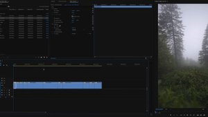How I Edit Instagram REELS - Adobe Premiere Pro CC Tutorial