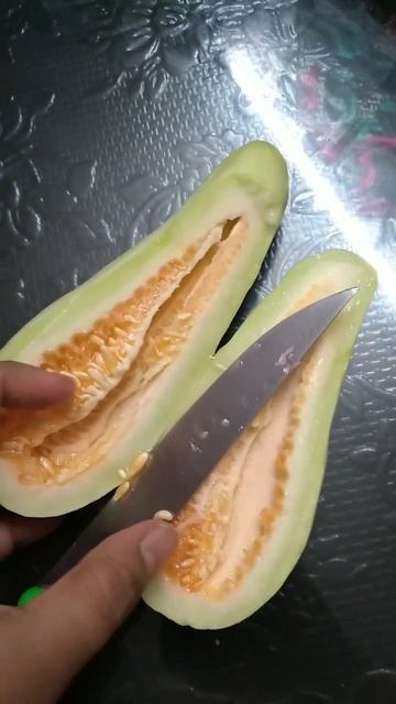 #naturelovers #shots #terracegardning смотреть онлайн