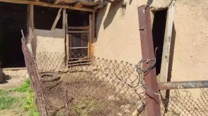 Тяжелая история жизни из далекого кишлака