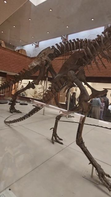 Наблюдаю, как Лев взрослеет смотреть онлайн