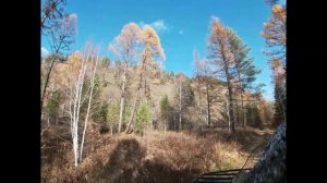 УВЛЕКАТЕЛЬНАЯ ОХОТА НА СОЛОНЦЕ! #охота