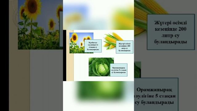 Сыртқы және ішкі факторлардың транспирацияға әсері 9-сынып биология