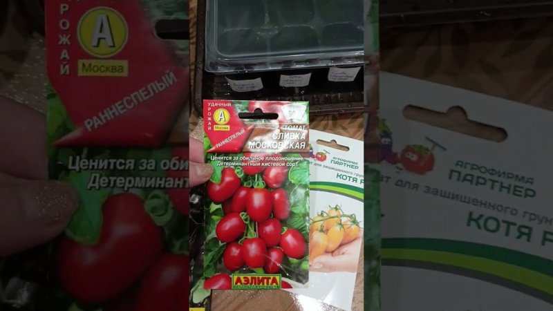 Посеяла томаты)
