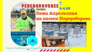 Зима Апрельская на пасеке! #pereborovobee #пчеловодство #пасека #улей #погода #пчеловодствоначинающи