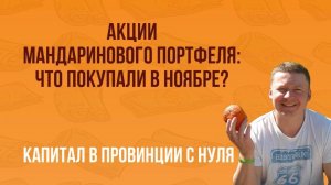 Какие АКЦИИ ПОКУПАЛИ В НОЯБРЕ по МАНДАРИНОВОМУ ПОРТФЕЛЮ? / Капитал С НУЛЯ / Публичный портфель