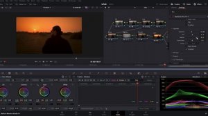 Davinci Resolve 19 Film Look Creator vs Dehancer Pro