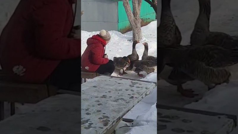 Из старого. Утренние беседы.
