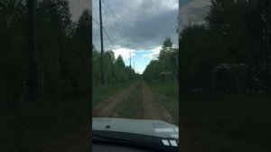 Участок 12,5 сот ДНТ Сосновый бор, дорога по территории ДНТ