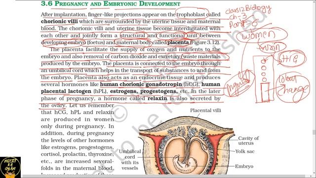 Part-6 HUMAN REPRODUCTION (PREGNANCY AND EMBRYONIC DEVELOPMENT) chapter-3 NCERT class 12th biology