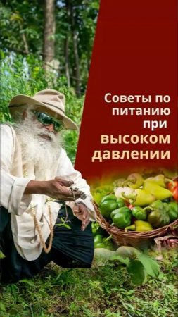 Садхгуру о питании и пранаяме: как нормализовать давление