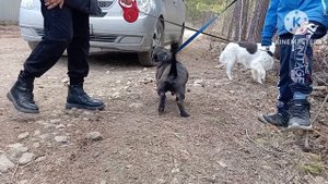 кто то обрел себе новый дом