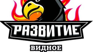 Видное Развитие-Добрыня. 06.04.2025