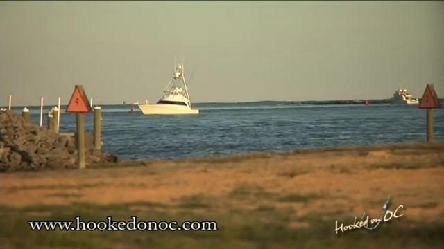White Marlin Season Flashback 2010 Ocean City Maryland смотреть онлайн