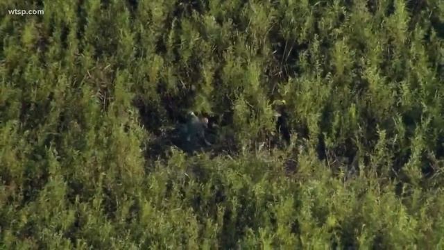 Sheriff's office helicopter goes down while responding to gyrocopter that made hard landing