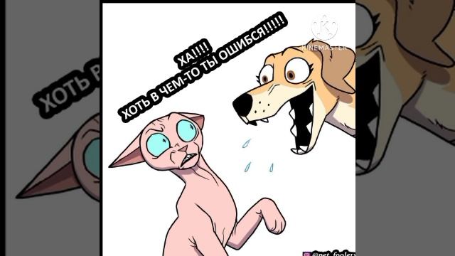 ПИКСИ И БРУТ Подборка Комиксов озвучка комиксов
