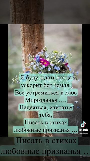 «Предвкушение», автор Анна Куприенко