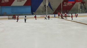 центр акулы 17 гол с центра поля чудес