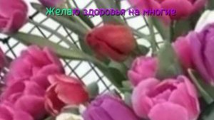 доброе утро