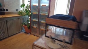 Обзор на отель 5 звезд - 25 Hours Hotel Dubai One Central - влог