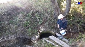 Тамара Васильевна. Часть-3. Родники.