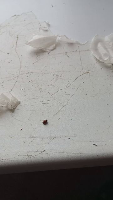 Снимайте плёнку вовремя! смотреть онлайн