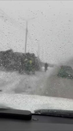 Погода в Москве сегодня,я на юге,цветут цветы и деревья,даже не верится