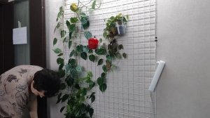 План Барбаросса. До и после.