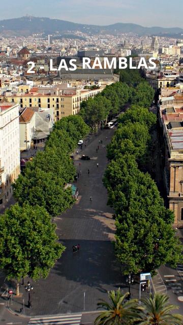 THREE THINGS YOU MUST TO SEE IN BARCELONA shorts travel barcelona