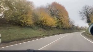 Впечатления немцев от русских. Он в шоке от русской свадьбы… #германия #германияпорусски