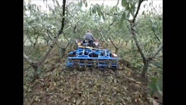 Coltivatore per frutteto mod. San Salvo H 12 con lama interceppo da 85 cm смотреть онлайн