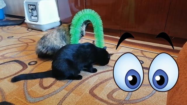 ПОЧЕСУШКА ДЛЯ КОШЕК