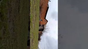 жизнь кулевчи
