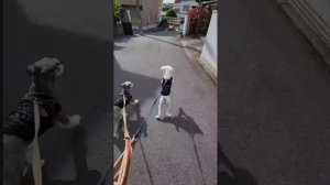 1000003534.mp4