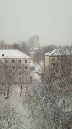 06-04-2025на Москву 6.04.25 г обрушился  снегопад