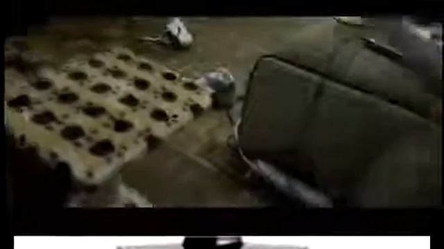 Приколы Тупые и неуклюжие коты! Получите удовольствие! Приколы с животными.... смотреть онлайн