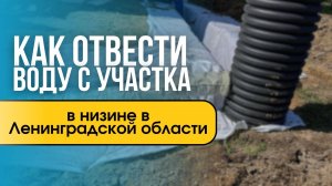 Как отвести воду с участка в низине