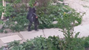 пьяненькая чуть чуть