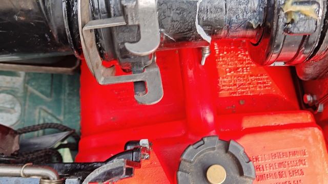 Гладиатор 6. 2  и пень