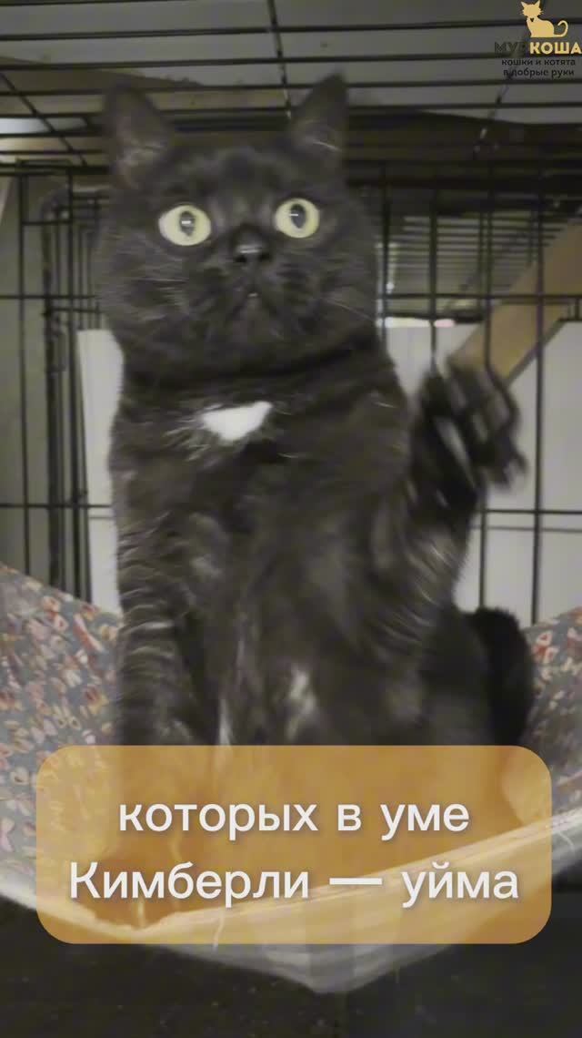 Кимберли (уже дома)