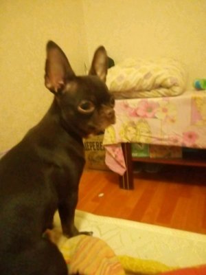 день с Ильёй